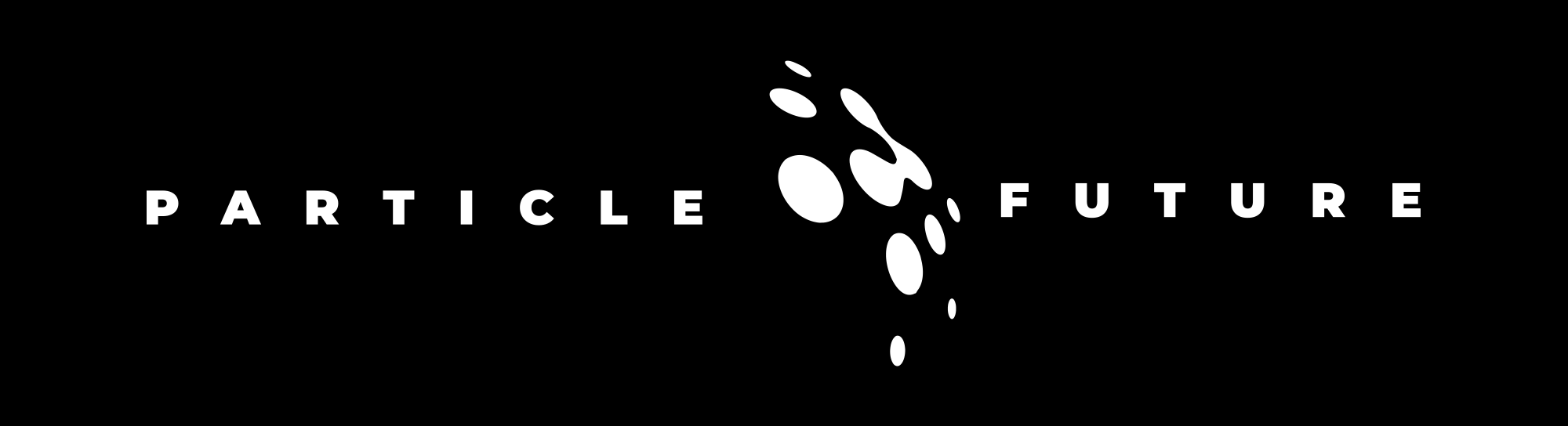 Particle Future